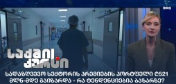 სადაზღვევო სექტორის პრემიების პორტფელი