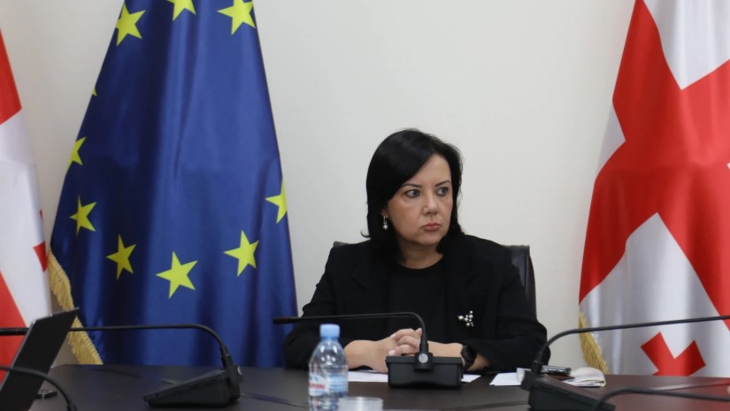 "გასულ წელს არცერთი კლინიკა არ გაგვიყიდია, პირიქით - შევიძინეთ"|ჯანდაცვის მინისტრის მოადგილე