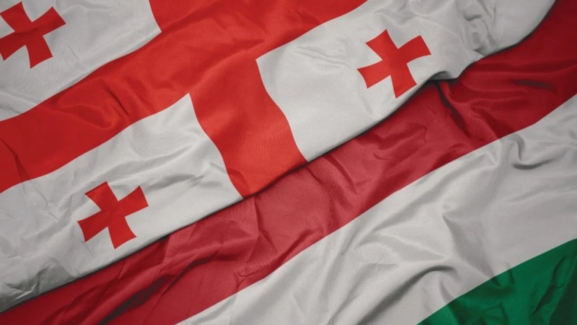 უნგრეთი საქართველოს მოქალაქეებისთვის სამუშაო ვიზების გაცემას აჩერებს