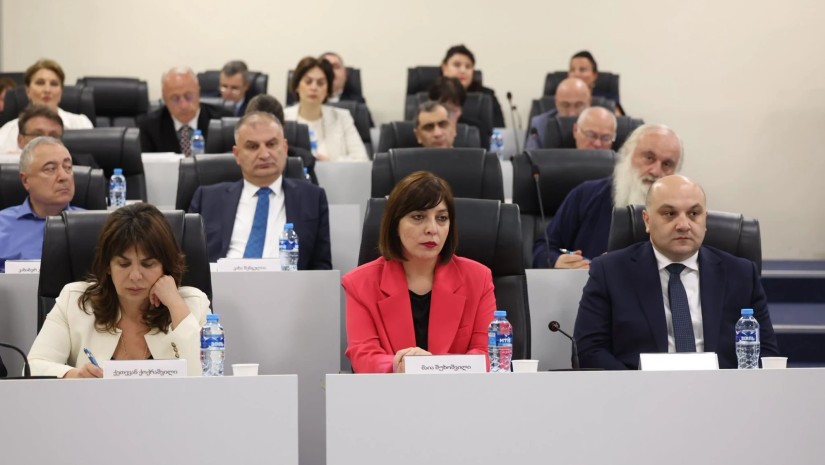 შს მინისტრის მოადგილემ რექტორთა საბჭოს წევრებს უცხოელების უმაღლესში ჩარიცხვის საკანონმდებლო ცვლილებები წარუდგინა