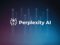 perplexity