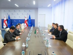 თამარ იოსელიანი