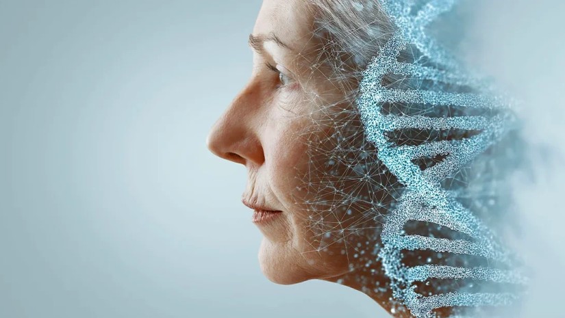 Life Biosciences-მა ადამიანის გამაახალგაზრდავებელი ინექციების ტესტირება დაიწყო