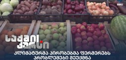 კლიმატური პირობები