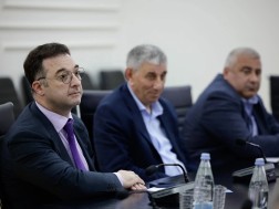 დავით სონღულაშვილი