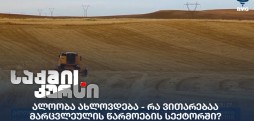 ალოობა