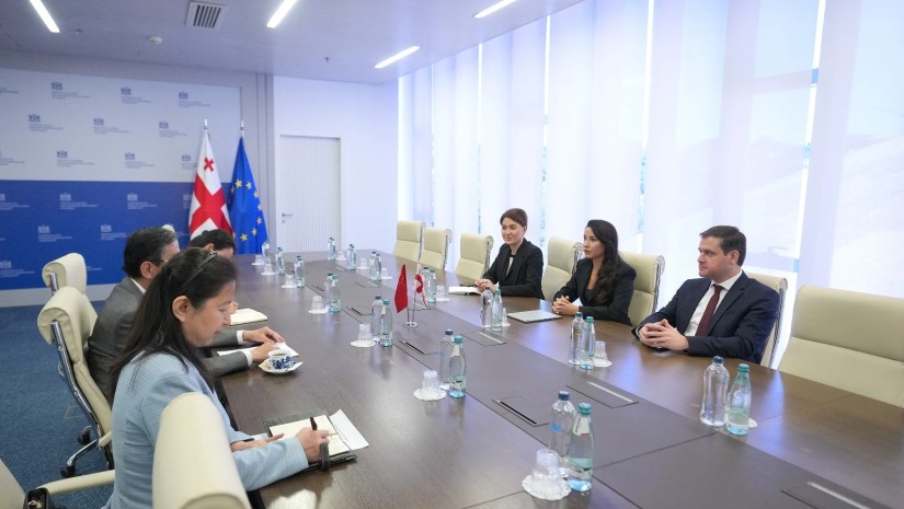 მარიამ ქვრივიშვილი ჩინეთის ელჩს შეხვდა - რაზე ისაუბრეს?