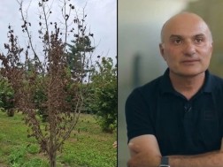 ჯენერ ბელქანია