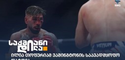 ილია თოფურია