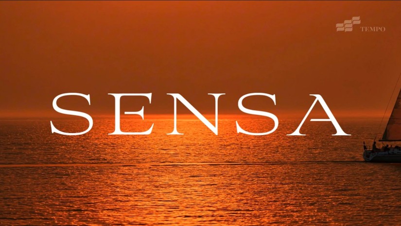 SENSA - მშვიდ ცხოვრებაში ინვესტიციის დროა