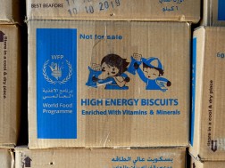 wfp