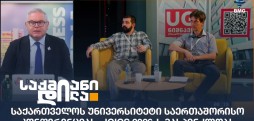 საქართველოს უნივერსიტეტი