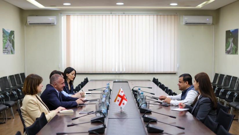 რევაზ სოხაძე საქართველოში ინდოეთის პირველ რეზიდენტ ელჩს შეხვდა