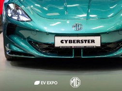 MG EXPO
