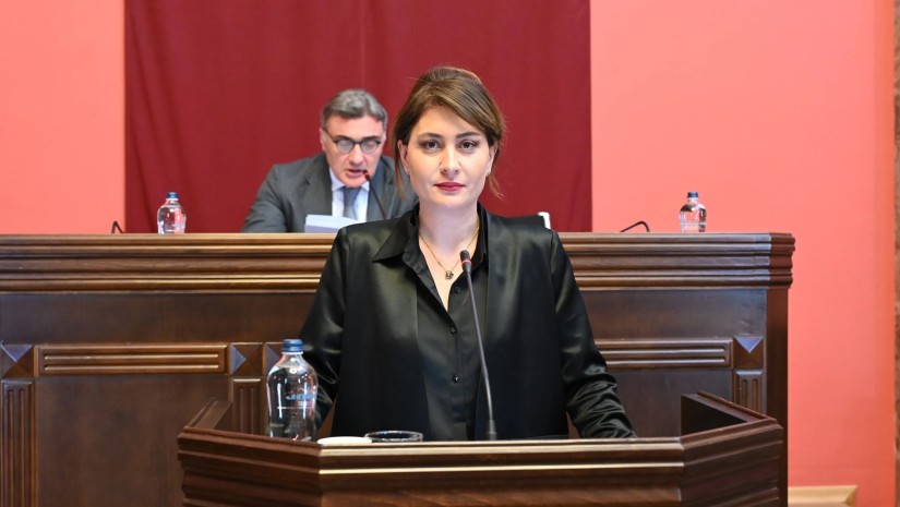 სარკინიგზო ინფრასტრუქტურის, როგორც სტრატეგიული აქტივის, გასხვისება იზღუდება - თამარ იოსელიანი