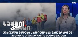 უცხოელი გიდები საქმიანობა