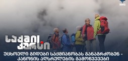 უცხოელი გიდები საქმიანობა