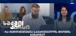 საქართველოს შრომის ბაზარი