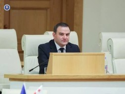 გიორგი გაბიტაშვილი