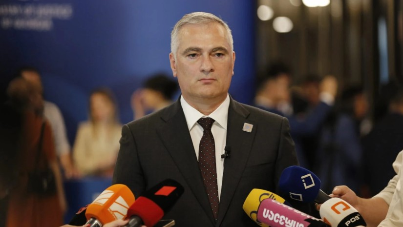 "საქართველო საჯარო სერვისების ხელმისაწვდომობით, ერთ-ერთი მოწინავეა" - პაატა სალია