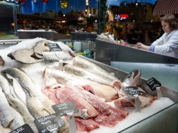 თევზი