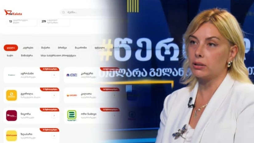 ekalata.gov.ge-ს შექმნით, მოქალაქე დროს დაზოგავს თუ ფულსაც და როგორ?|ინტერვიუ სოფო ქაშაკაშვილთან