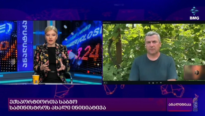 რა გამოწვევების წინაშეა მოცვის სექტორი და რას ფიქრობს სამინისტროს ინიციატივებზე? - "ბლუბერიას" შეფასება