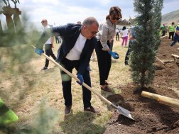 რეზი სოხაძე