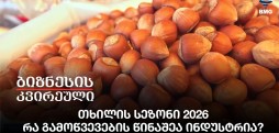 თხილის სეზონი 2026 - რა გამოწვევების წინაშეა ინდუსტრია?