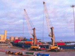 APM Terminals