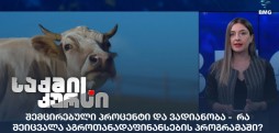 აგროთანადაფინანსების პროგრამა
