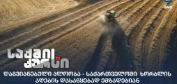 დაგვიანებული ალოობა