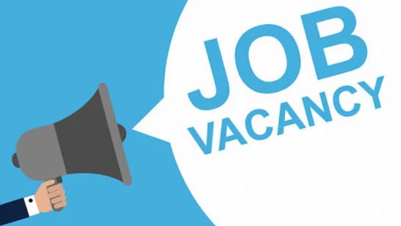 გაყიდვები, ფინანსები... - მარტ-მაისში Jobs.ge-ზე გამოქვეყნებული ვაკანსიები 20 327-მდე გაიზარდა