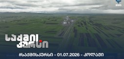 #საქმისკურსი