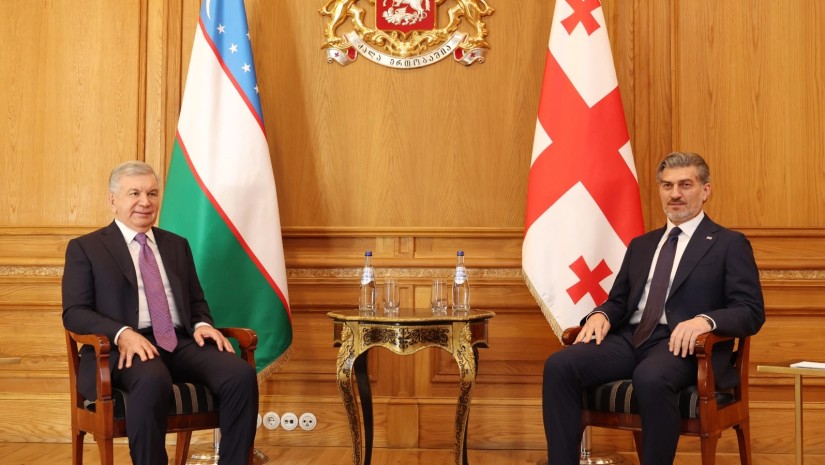 მიხეილ ყაველაშვილი უზბეკეთის პრეზიდენტთან შეხვდა