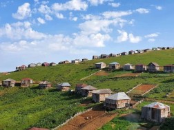 იალაღი