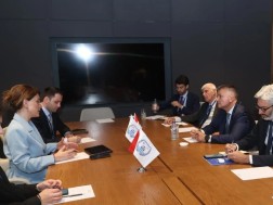თამარ იოსელიანი