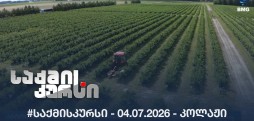 #საქმისკურსი -  04.07.2026 - კოლაჟი
