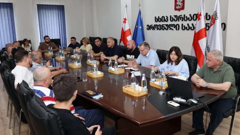 რეგიონებში პატრონიანი ძუ ძაღლების სტერილიზაცია და ჩიპირება უფასოდ ჩატარდება - სეს