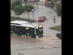 დატბორვა