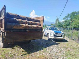 უკანონო ტყითსარგებლობა