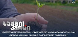 აგროთანადაფინანსების სახელმწიფო პროგრამა