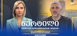 ნიკა ალავიძე