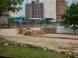 თელავი