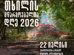 თხილის მწარმოებელთა დღე