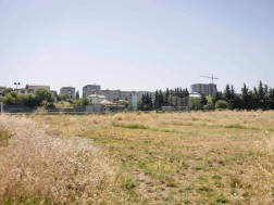 ამერი