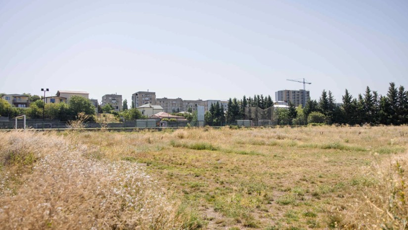 ამერი