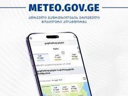 ადრეული გაფრთხილების პლატფორმა