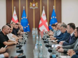 მეფრინველეებთან შეხვედრა