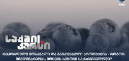 მოცვის სეზონი